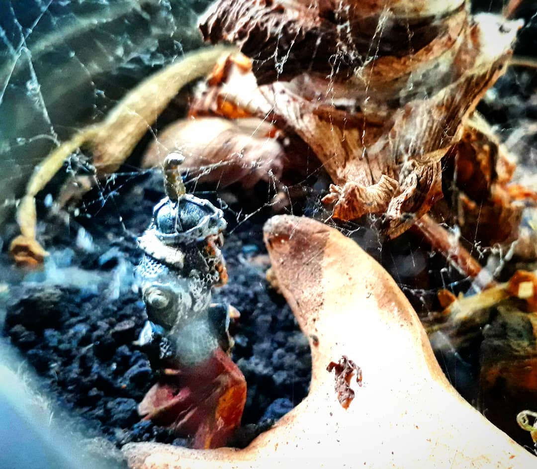 Composição de ateliê sobre cascalho escuro: miniatura de figura humanoide em armadura de metal, peça curva em barro claro e pedaço de raiz seca, cobertos por fibras finas